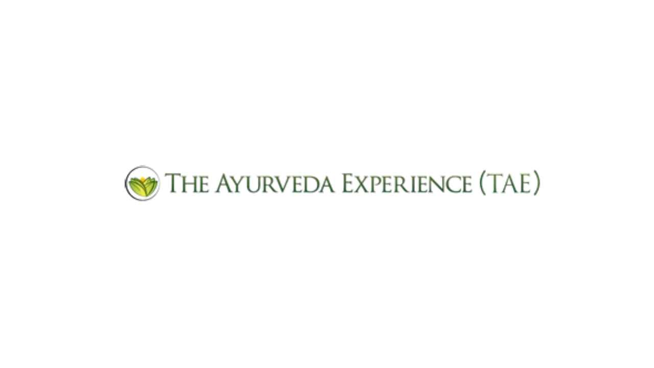 The Ayurveda Experience Review : A Journey to Holistic Wellness